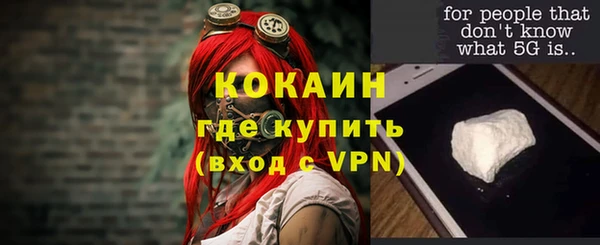 молекула духа Каменск-Шахтинский