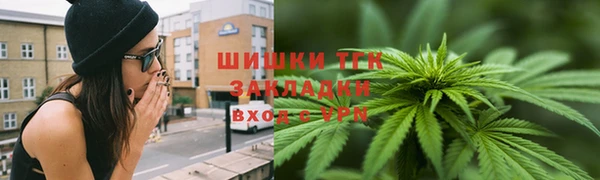 молекула духа Каменск-Шахтинский