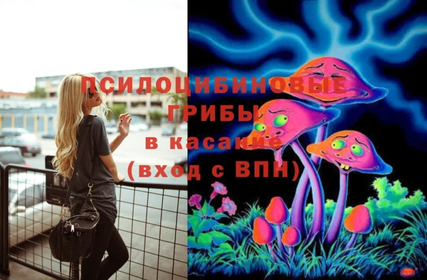 прущий лед Каменногорск