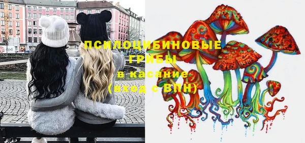 МДПВ Каменка