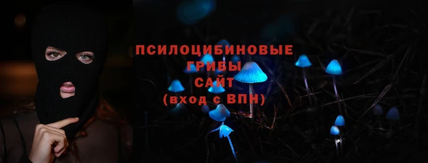 МДПВ Каменка