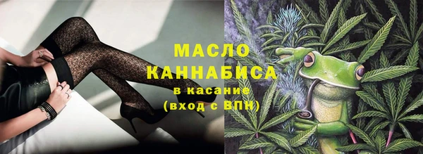 молекула духа Каменск-Шахтинский