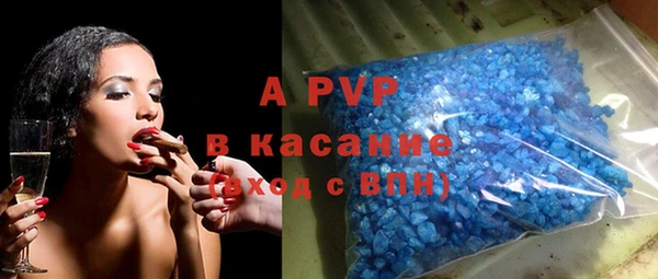 МДПВ Каменка