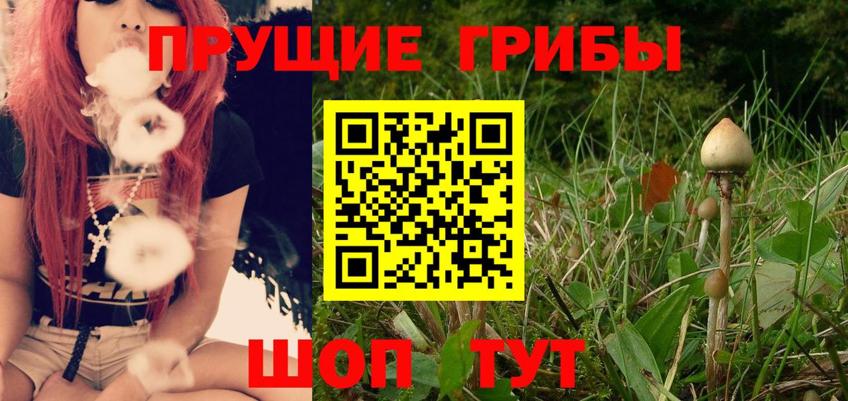 Псилоцибиновые грибы прущие грибы Сочи