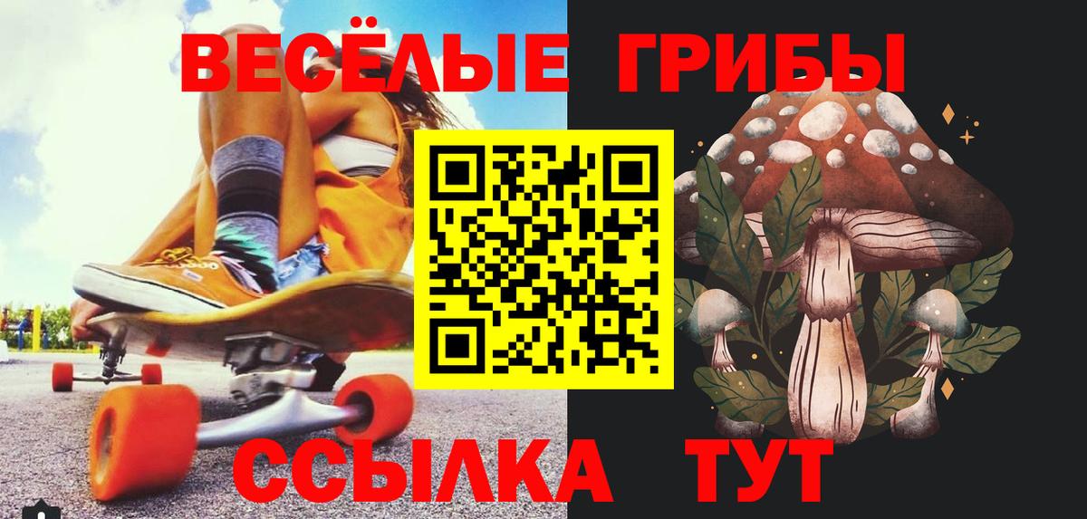 Галлюциногенные грибы Psilocybine cubensis  Вход с VPN  Сочи  Галлюциногенные грибы мицелий 